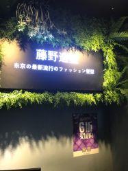 点击看大图 -藤野造型