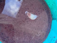 -玖鲜小笼(中山广场店)