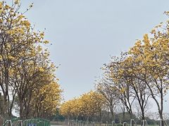 -光明小镇欢乐田园