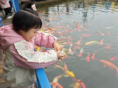 -南湖梦幻岛
