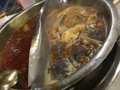 -朱氏胖子烂火锅(洪崖洞店)