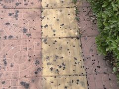 -泰安市全民健身中心