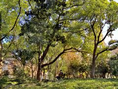 -徐家汇源景区-衡山公园