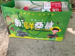 -鱼子山桑葚生态采摘园