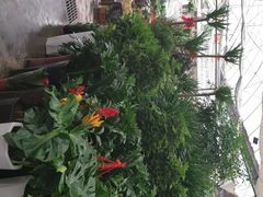 -秦美花卉(天朗·莱茵小城2期店)