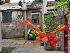 -巧手馄饨(箍桶巷店)