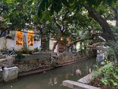 -小洲村
