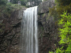 android_upload_pic-旗山国家森林公园