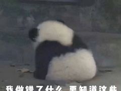 -发记甜品(豉油街店)