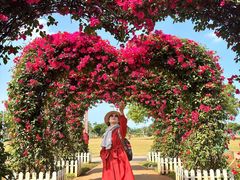 -万绿园