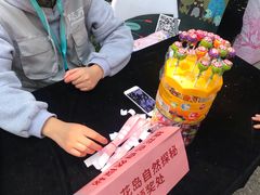 -金鸡湖桃花岛