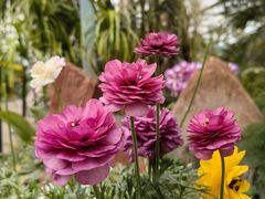 -郑州中国绿化博览园