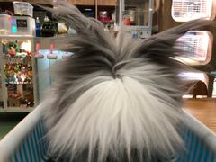 -藦茜花园宠物主题亲子互动体验馆(国顺东路店)