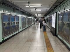 -大望路(地铁站)