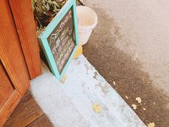-春风十里咖啡馆