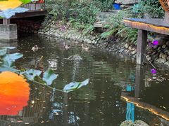 -二荆条·蜀鲜汇城市森林火锅
