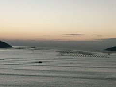 -北岐滩涂