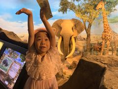 -陕西自然博物馆