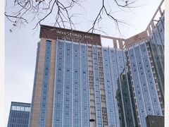 -大天瑞斯丽酒店-中餐厅