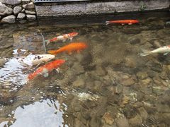 -前童古镇
