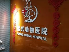 -瑞派福兴宠物医院犬猫全科·骨科·中西医结合(河东店)