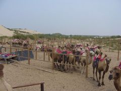 iphone_upload_pic-玉龙沙湖景区