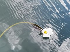 -丽江泸沽湖景区