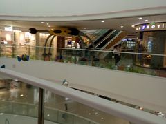 -上海颛桥万达广场