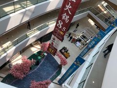 -上海颛桥万达广场