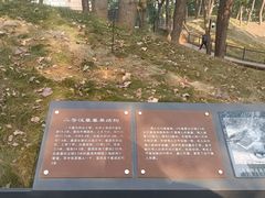 -马王堆汉墓遗址