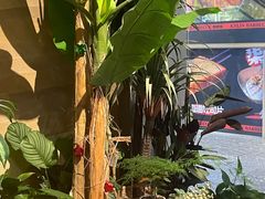 -火塘云南烧烤大排档