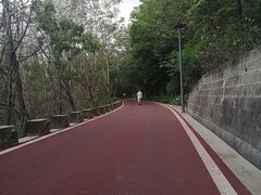-攀枝花公园