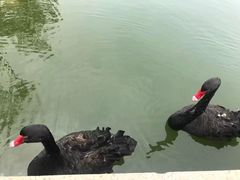 -鄱阳湖国家湿地公园