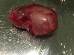 -雨林宠物医院 非犬猫异宠专科