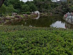 -白马涧龙池景区