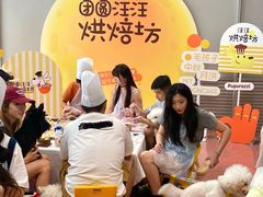 -帕帕拉兹宠物(亚洲旗舰店)