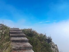 -白草畔自然风景区