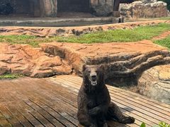 -海南热带野生动植物园