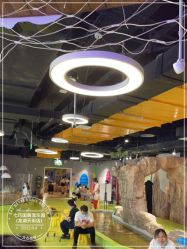 -七巧国萌宠乐园(龙湖天街店)