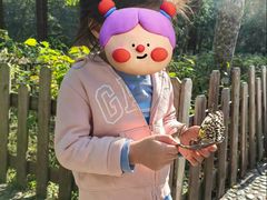 -野象谷景区