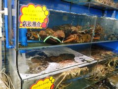 水产区-蚝专家(北滘店)