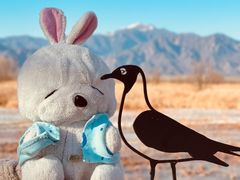 -野鸭湖国家湿地公园