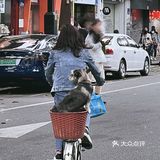 教育路｜食过翻寻味的手卷