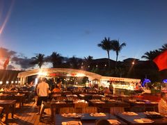 -渔家火锅·海鲜自助餐·演艺(亚龙湾天域酒店)