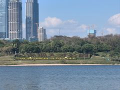 -深圳人才公园
