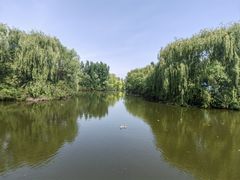 -沈阳鸟岛