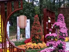 -上海共青森林公园