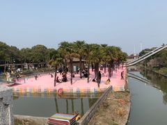 -苏州太湖西山岛开心农场