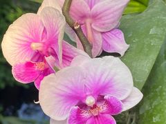 -北京植物园-展览温室