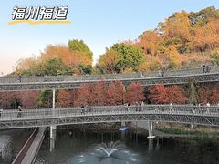 -福道